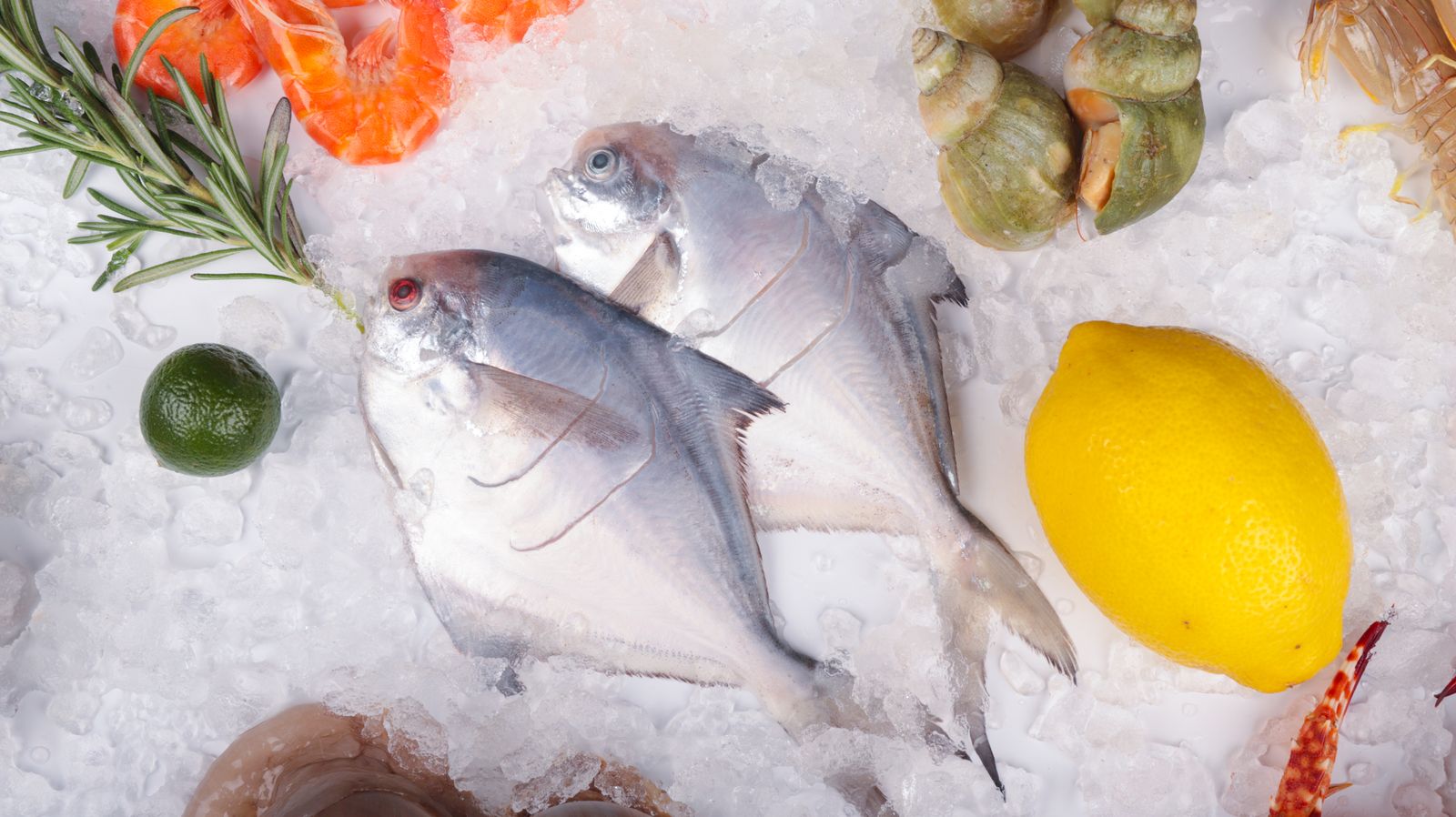 冰塊與檸檬襯托的新鮮魚類